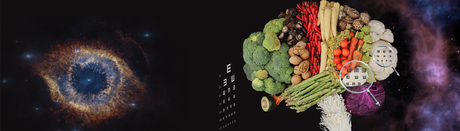 中科院腦智卓越中心揭示靈長類大腦精細(xì)視覺編碼的新機(jī)制